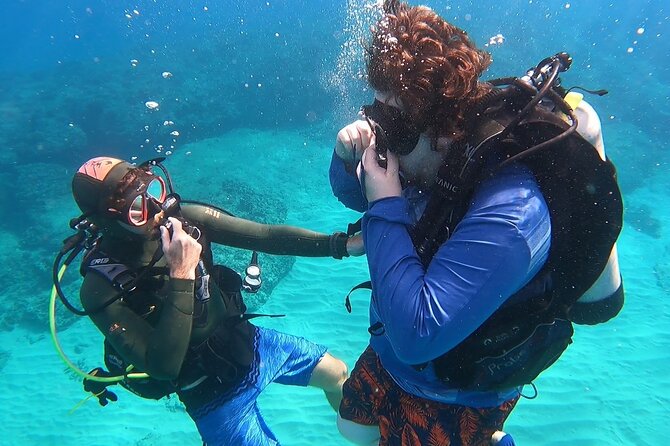 SCUBA Dive at Electric Beach with Photos -No Certification Needed - Kahe Point Beach Park: what you’re likely to see and why it’s a smart beginner choice