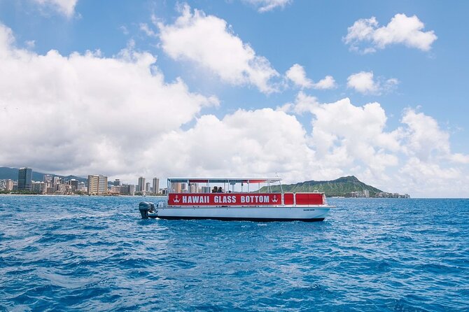 Sea Safari, Dolphins, Turtles and Waikiki Cruise - What to bring: camera, snacks, and the BYOB reality
