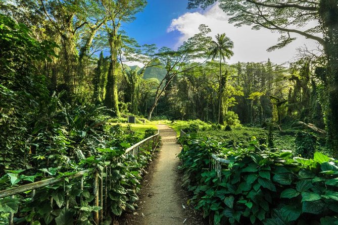 Self Guided Hike Trail to Nature Walk & Waterfall - Manoa Falls: The 150-Foot Waterfall You Came For
