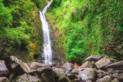 Self Guided Hike Trail to Nature Walk & Waterfall - Waikiki Pickup and the Scenic Drive That Sets the Tone