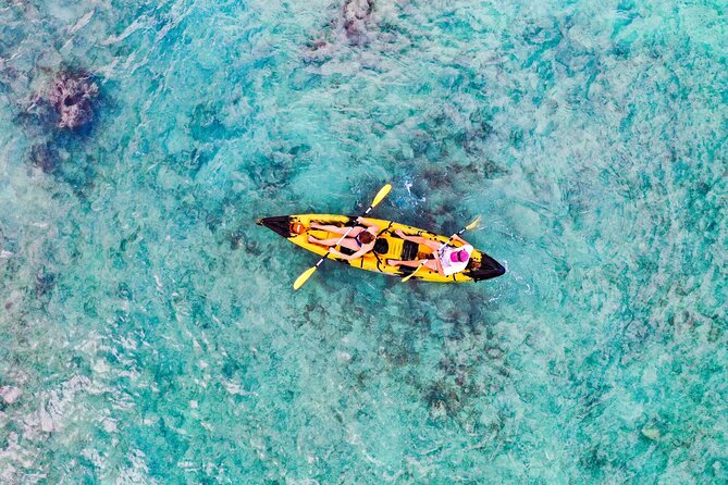 Self-Guided Kayaking Tour in Kailua Bay and Popoia Island - The Kailua Bay paddle: reef protection, sea turtles, and a steady 20-minute route feel