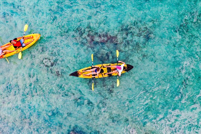 Self-Guided Kayaking Tour in Kailua Bay and Popoia Island - Popoia Island: seabird sanctuary, rugged coral footing, and the Queens Bath tide pool