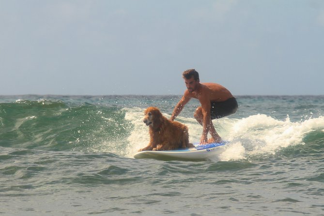 Semi-Private Surf Lesson - What Happens Once You’re in the Water