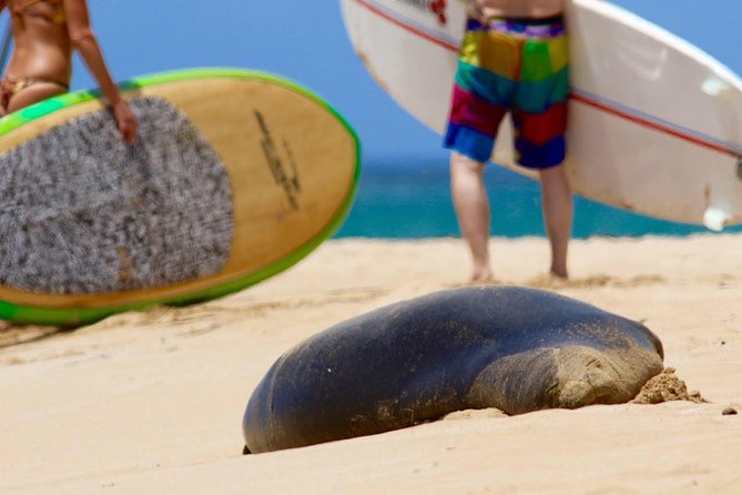 Semi-Private Surf Lesson - Equipment Included: Less Hassle, More Time Learning