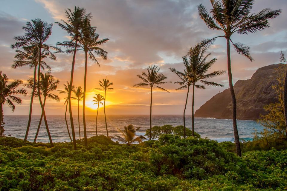 Small Group 3 Hour Honolulu Sunrise Tour with Malasadas - Sandy Beach Park at First Light (45 Minutes Isn’t an Afterthought)