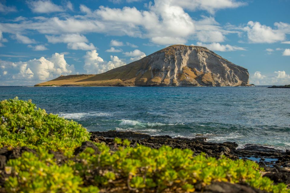 Small Group 3 Hour Honolulu Sunrise Tour with Malasadas - Makapuʻu Lookout: When a Short Stop Still Delivers