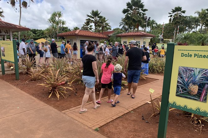 Small Group-Oahu Tour, Dole Plantation, Northshore, Sunset Beach - Aliʻiolani Hale and symbolism: architecture you can actually notice