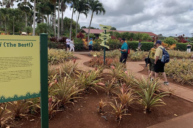 Small Group-Oahu Tour, Dole Plantation, Northshore, Sunset Beach - Punchbowl National Memorial: pause, then move on