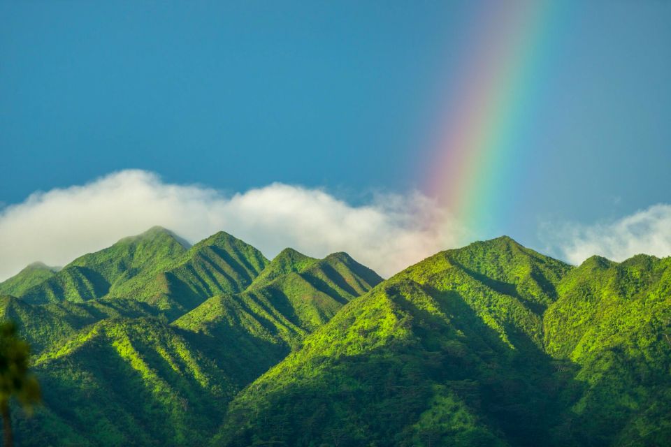 Small Group Tour of Honolulu Scenic Vistas with Sunset - Key highlights that matter on the ground
