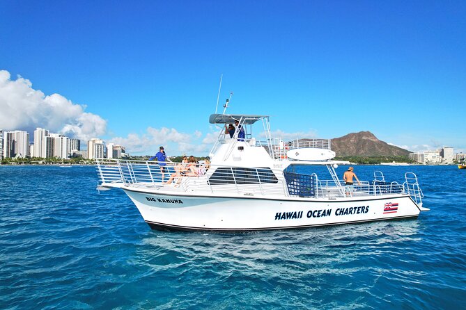 Small group Turtle Snorkel (16 people max): Sightings Guaranteed - Key Highlights You’ll Feel Right Away