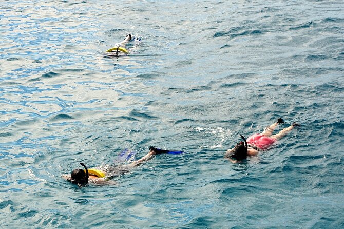 Small group Turtle Snorkel (16 people max): Sightings Guaranteed - Price and Value: What $85 Gets You (and What It Doesn’t)