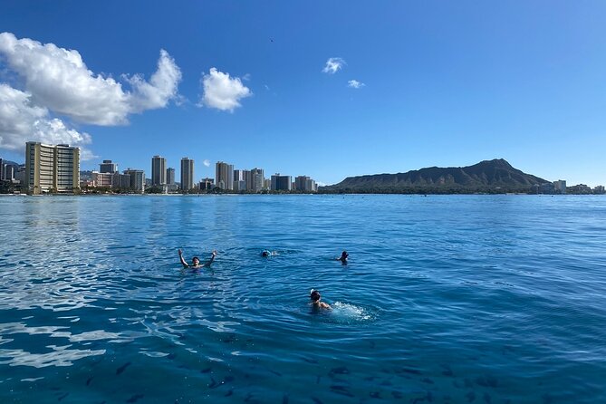 Small group Turtle Snorkel (16 people max): Sightings Guaranteed - Should You Book This Turtle Snorkel on Oahu?