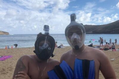 Snorkel Gears near Hanauma Bay - The $23.99 Value: When This Beats a Full Snorkel Tour