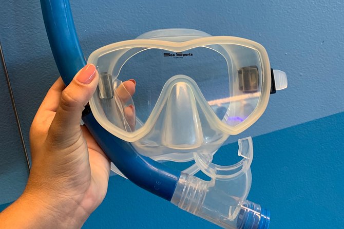 Snorkel Gears near Hanauma Bay - The Small Print That Can Make or Break Your Day
