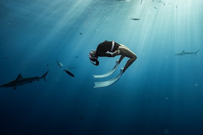 Snorkel with sharks on the North Shore of Oahu - Photos, ride-along options, and how to plan for memories