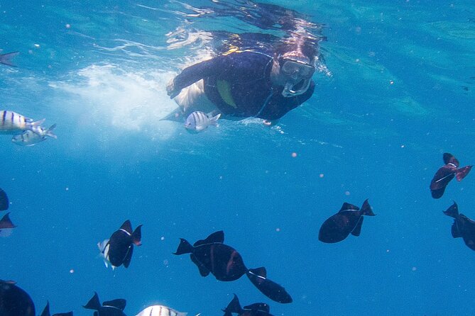 Snorkeling Adventure at Turtle Canyon - The boat ride: front-row splashes and calm-water timing