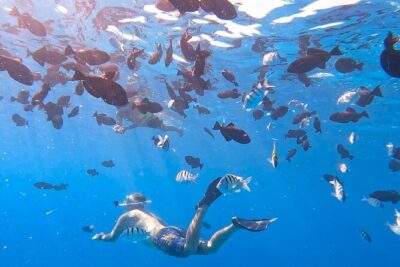 Snorkeling Adventure at Turtle Canyon - Meeting at 1 Holomoana St: gear-up without the fuss