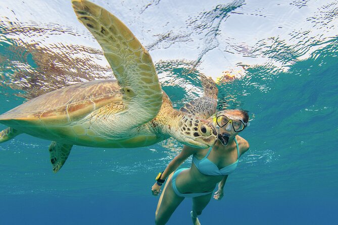 Snorkeling with Turtle/Water Scooter/Paddleboard Adventures Oahu - Stop 1: Diamond Head Crater and why it matters even before the water