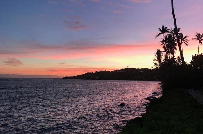 South Shore Aloha Friendly Tour - The Guide Experience: When Your Day Feels Personal