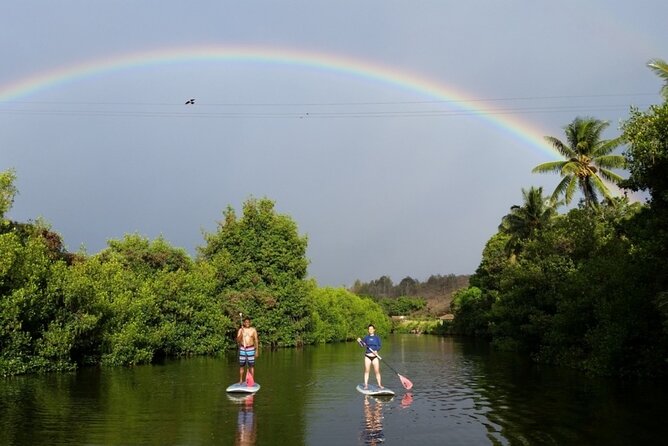 Stand Up Paddle Nature and Turtle tour-Guaranteed to see turtles - Key things that make this tour work