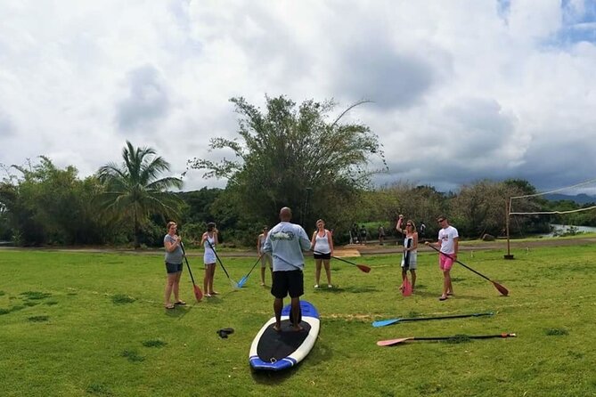 Stand Up Paddle Nature and Turtle tour-Guaranteed to see turtles - Snorkeling chances: how river conditions affect what you see