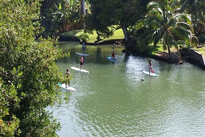 Stand Up Paddle Nature and Turtle tour-Guaranteed to see turtles - Price and value: does $172.77 make sense?