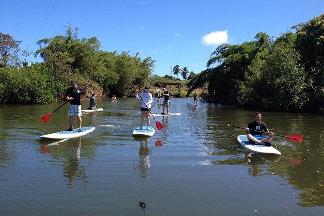 Stand Up Paddle Nature and Turtle tour-Guaranteed to see turtles - Meeting point reality check in Haleiwa