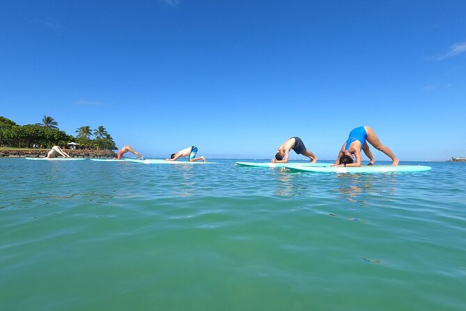 Stand-Up Paddle Yoga - The Big Caution Flag: Confirm Yoga Kai Is Operating