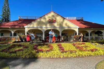 Stunning Views of Oahu! Half-Day to North shore on a Scenic Tour - Nuʻuanu Pali: cliff viewpoints plus a history lesson you won’t hate