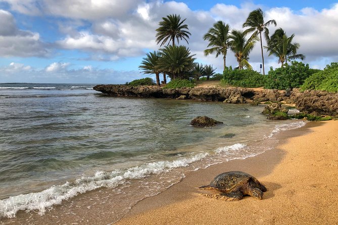 Sunrise Plus Island Tour - Road-Trip Stops Across Oahu: The North Shore Angle