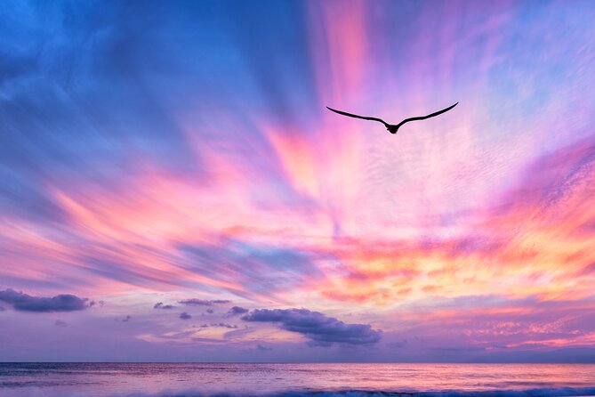 Sunset Cruise along Waikiki Coastline - Weather reality check: when plans depend on the forecast