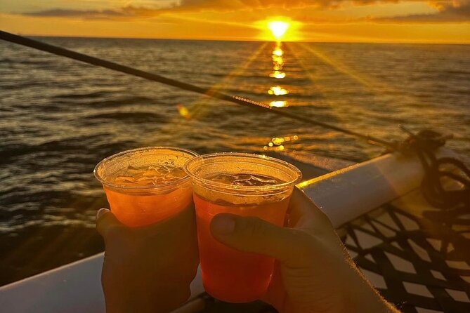 Sunset Cruise & Whale Watching from Oahu - Whale and dolphin spotting: what you should watch for