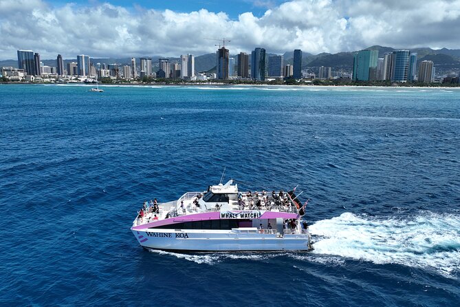 Sunset Cruise & Whale Watching from Oahu - Crew energy, photos, and dealing with wind and water motion