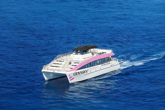Sunset Cruise & Whale Watching from Oahu - Who this Sunset Whale Watch suits best