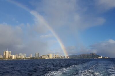 Sunset Sail Experience by Catamaran in Waikiki - Honolulu city lights: the main moment you’re paying for