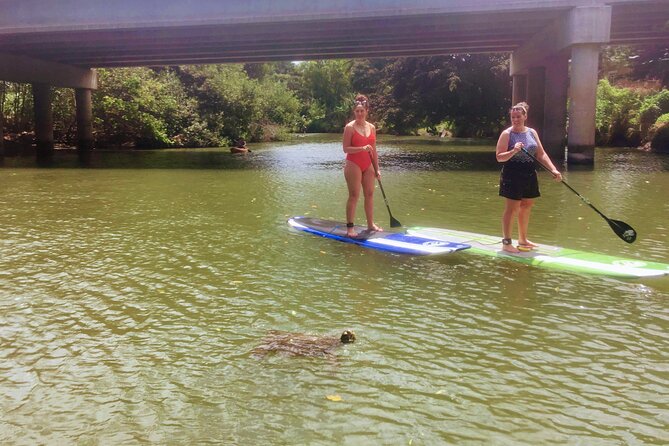 Sunset Stand Up Paddle with Photos and Turtles - Photos included: the difference between getting shots and getting memories