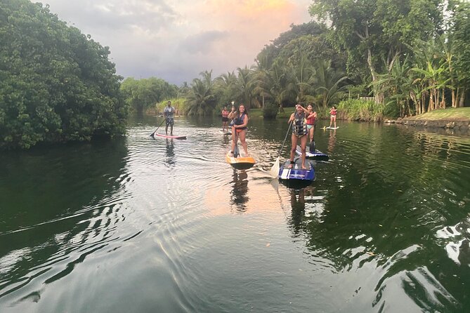 Sunset Stand Up Paddle with Photos and Turtles - Conditions you will care about: mosquitoes, current, and waves