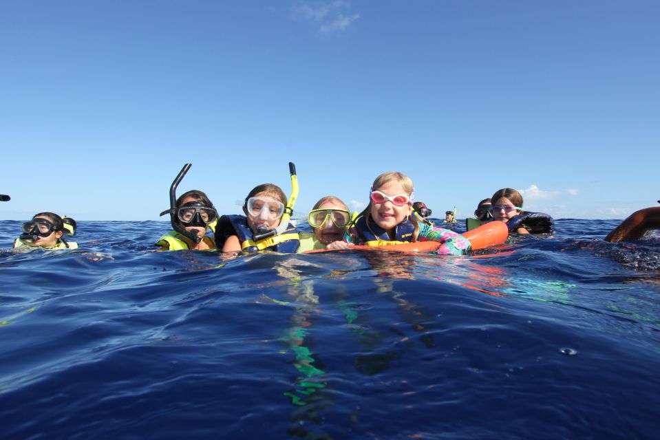 Swim with Wild Dolphins Oahu Speedboat Snorkeling Adventure! - Dolphin Warrior zodiac ride: small group, big motion