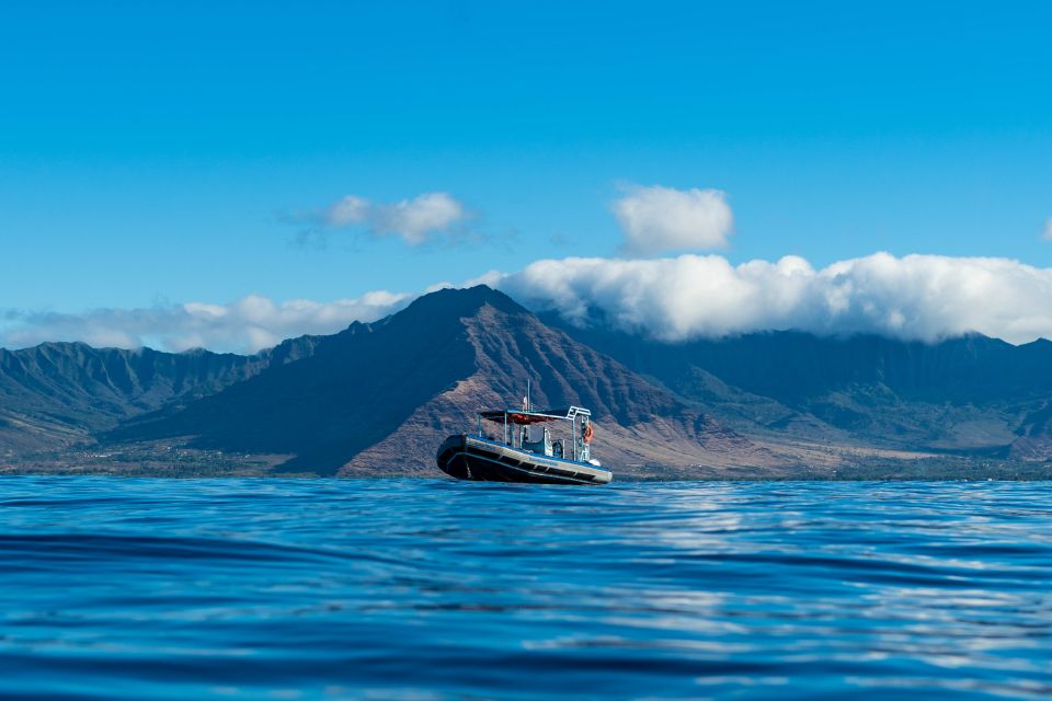 Swim with Wild Dolphins Oahu Speedboat Snorkeling Adventure! - Makaha reef snorkeling: turtles and reef fish payoff
