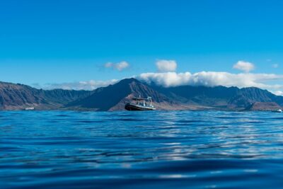 Swimming with Wild Dolphins Speedboat Adventure on Oahu - Dolphin swimming offshore: what multiple drops really mean