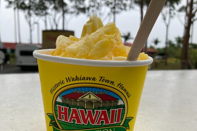 "The Dole Plantation" & "North Shore" Private Limousine VIP Tour! - The Dole Plantation: trains, the pineapple maze, and Dole Whip time
