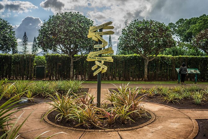 "The Dole Plantation" & "North Shore" Private Limousine VIP Tour! - Who should book this VIP limo day (and who might skip it)
