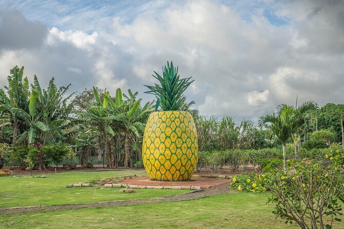 "The Dole Plantation" & "North Shore" Private Limousine VIP Tour! - North Shore Macadamia Nut Company: a quick stop that still delivers tasting value