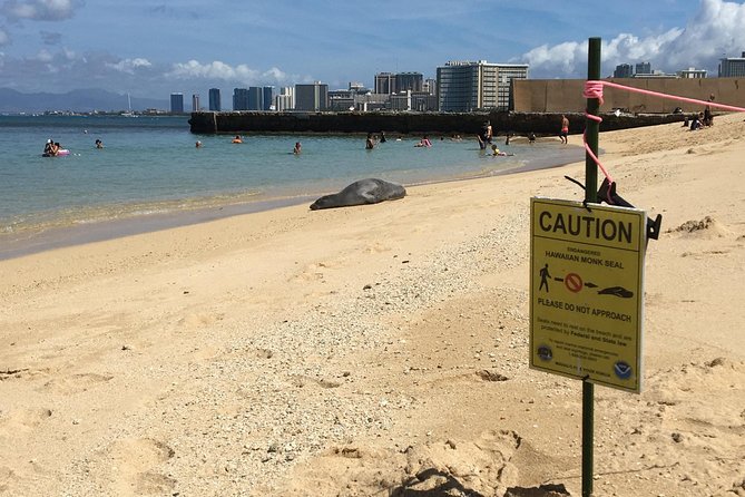 The East Waikiki Walking Tour - Stop 1: Waikiki War Memorial Natatorium and WWII leftovers