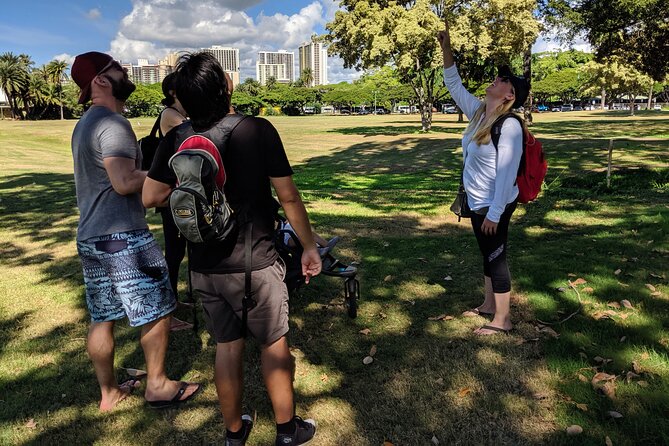 The East Waikiki Walking Tour - Base of Diamond Head (Le’ahi): geology on a human scale
