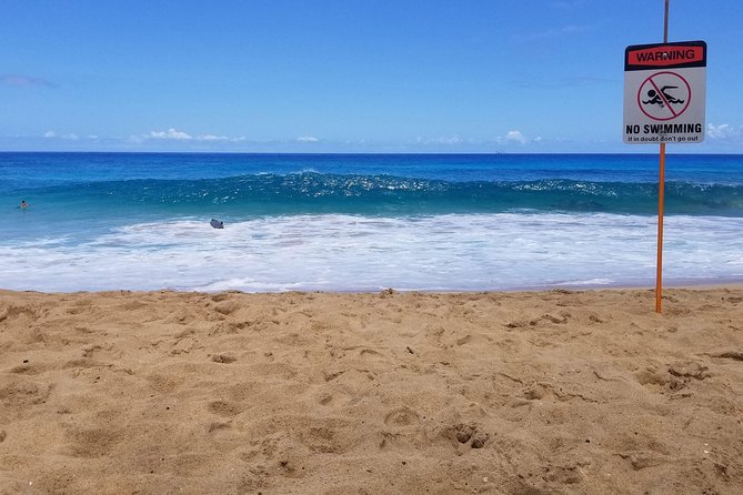 Transportation to North Shore - Riding From Waikiki to Oahu’s North Shore Without the Car Stress