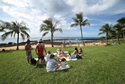 Transportation to North Shore - What the 8-Hour Beach-and-Park Day Actually Feels Like