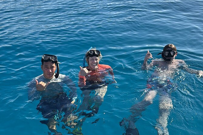 Turtle Canyon Snorkel Tour - Semi-private: 6 passenger max - Key Highlights You’ll Feel From the Start