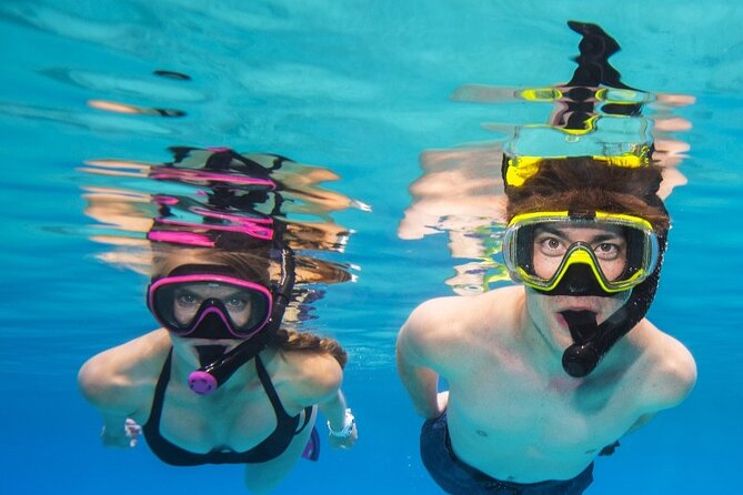Turtle Canyon Waikiki Snorkel Adventure - Turtle Canyon snorkeling: what you’re likely to see and how to actually spot it