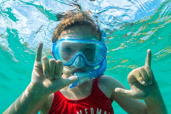 Turtle Canyon Waikiki Snorkel Adventure - Surface interval and the second reef site: how to use the “down time”